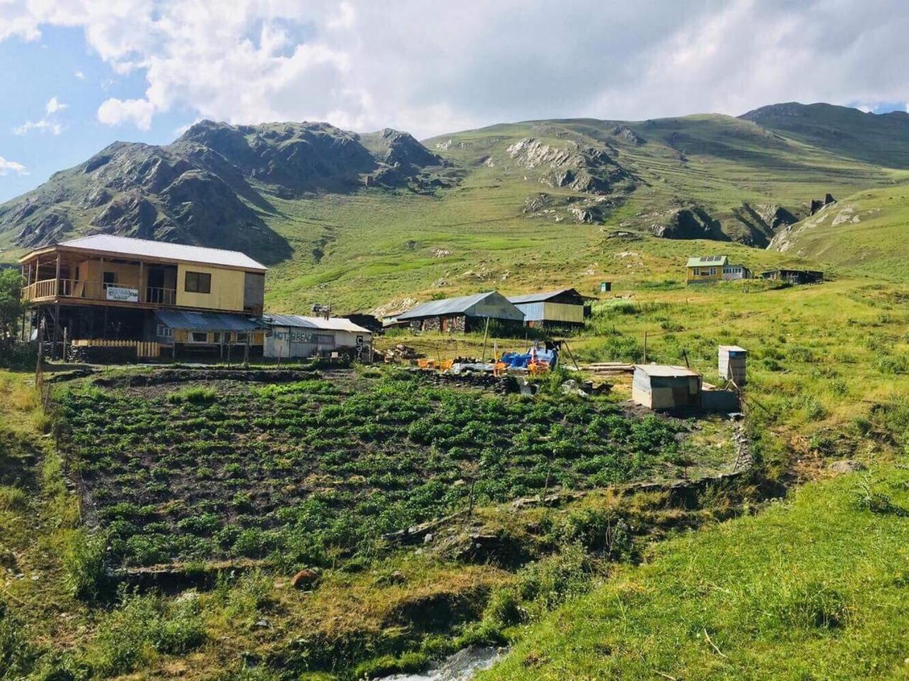 Hostel Shio'S Stonehouse In Tusheti Exteriér fotografie